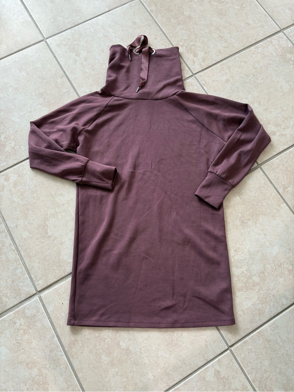 Express Mauve Hooded Sweatshirt Dress